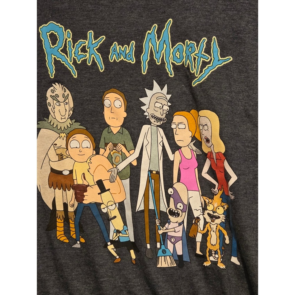 Rick and Morty T Shirt Mens Medium Grey Graphic Adult Swim Ripple Junction Crew